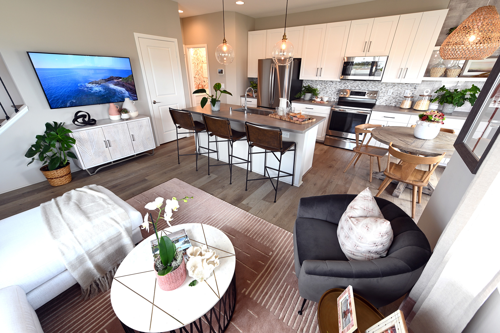 NorthPark Plan 4 - Kitchen & Living Room